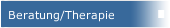 Beratung/Therapie